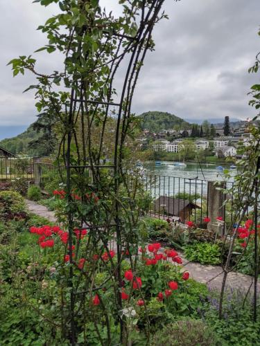 0d8f5001-4f06-42e8-8b4a-c2c0786f788a