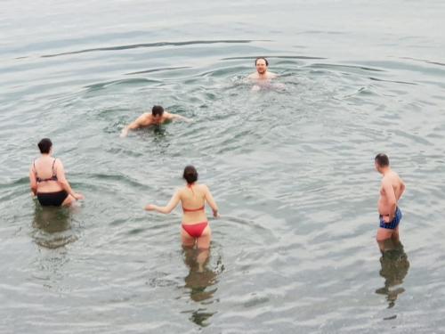 f56661a4-3957-4c31-a5da-a82a808fdb35