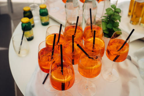 4_Empfang-Fingerfood-23.06.2018